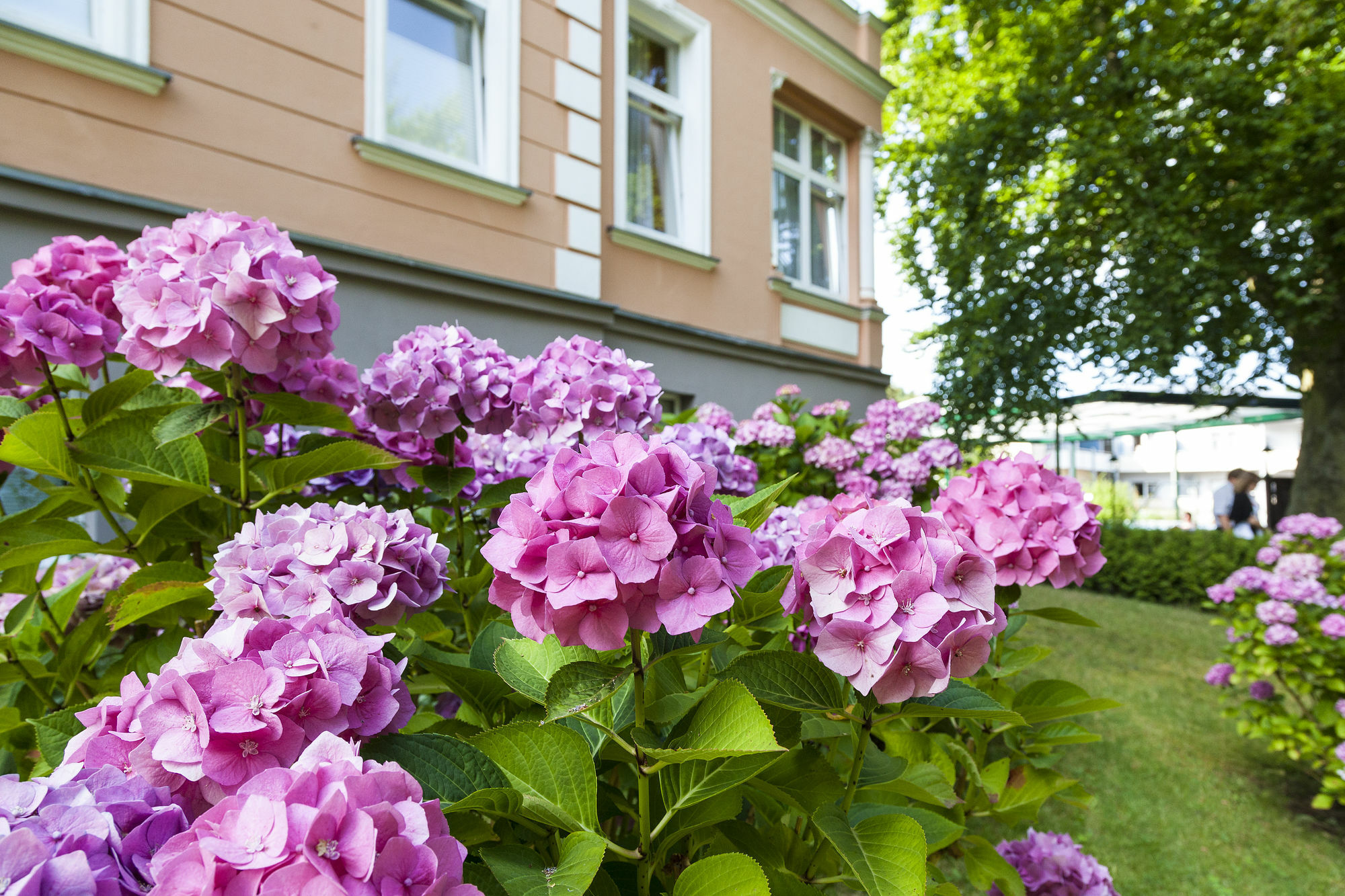 Ostseehotel Villen Im Park - Ein Rovell Hotel Heringsdorf  Exterior photo